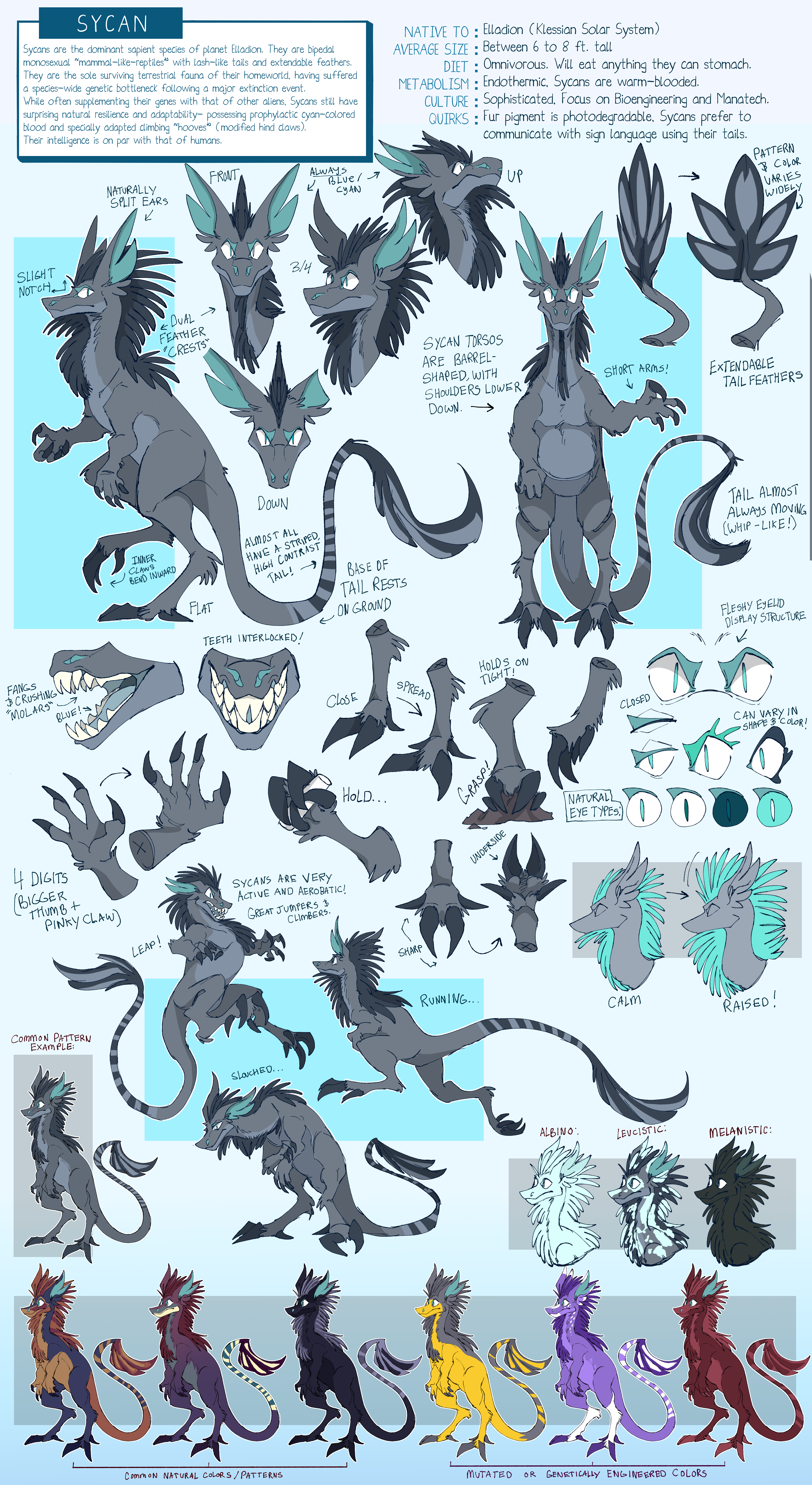 (2023) Sycan Species | Digital Reference (2023) Sycan Species | Digital Reference
